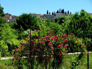 Property grounds - Bed and Breakfast 'Le Temps Des Cerises' with Shared Pool, Shared Terrace and Wi-Fi (Carcès)