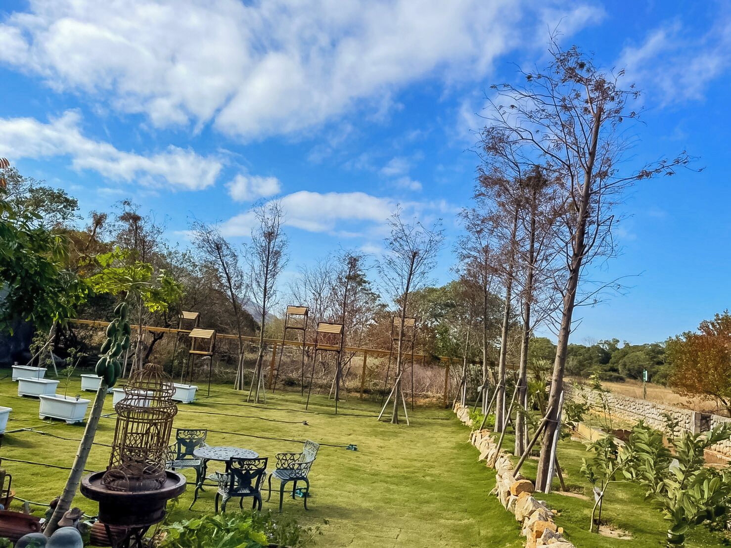 Terrasse/patio