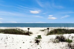 Ein Strand mit Dünen und blauem Himmel.
