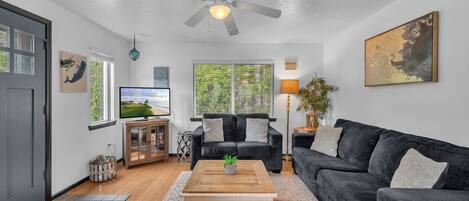 Smart TV, video library