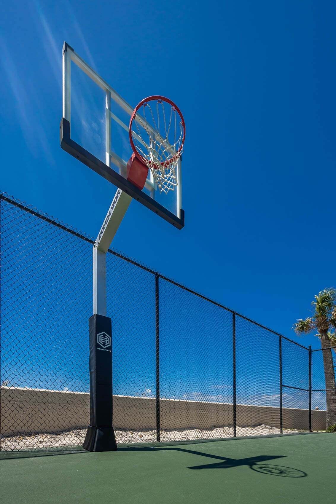 A basketball hoop with a chain-link fence and palm trees in the background.