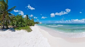 A beach with white sand, clear turquoise water, and palm trees. - Palm Beach 610 2 Bedroom Apts (Hastings)