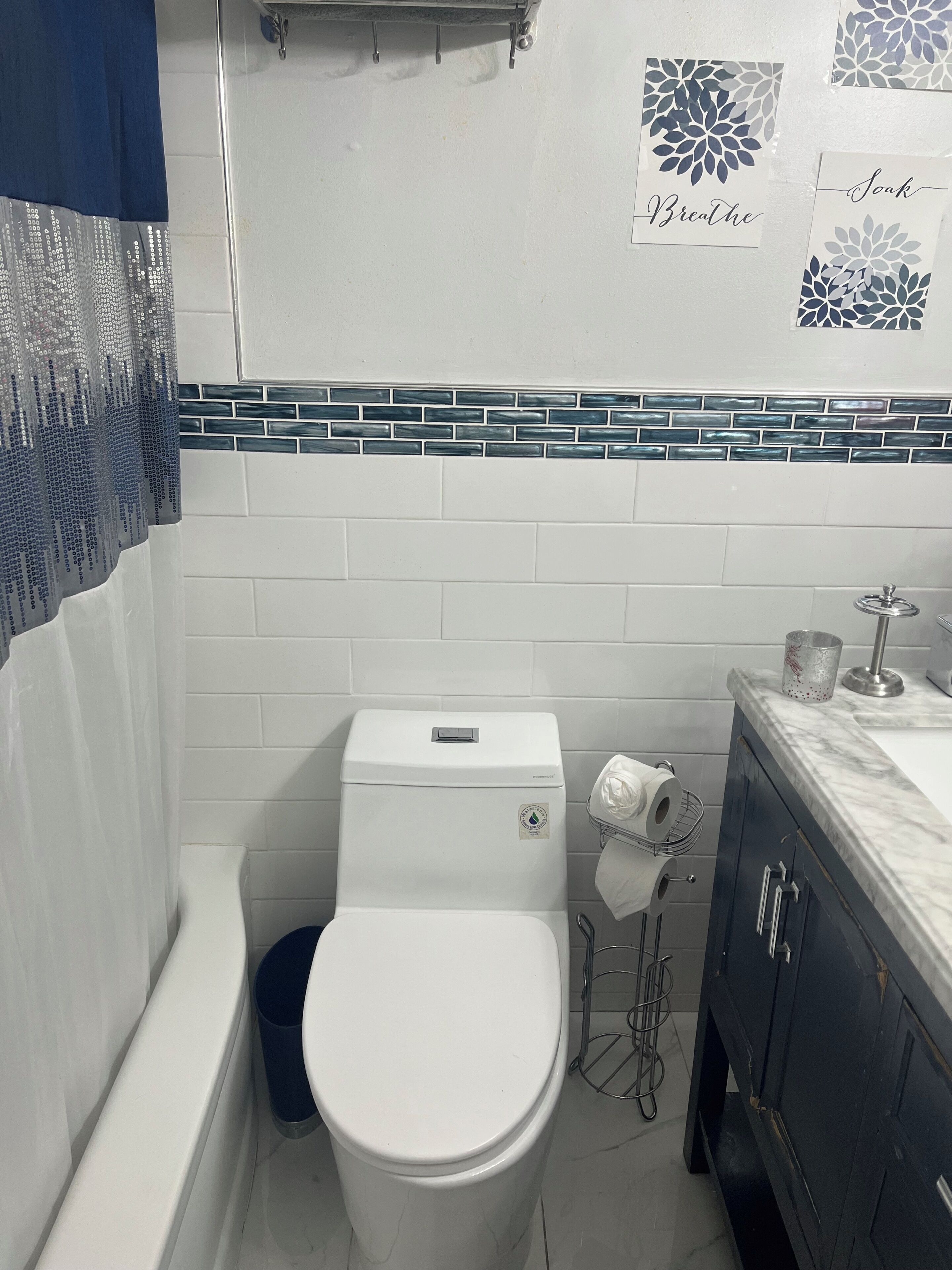 Hair dryer, towels, soap, toilet paper