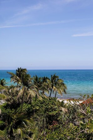 Ein tropischer Strand mit Palmen und freiem Blick auf den Ozean.