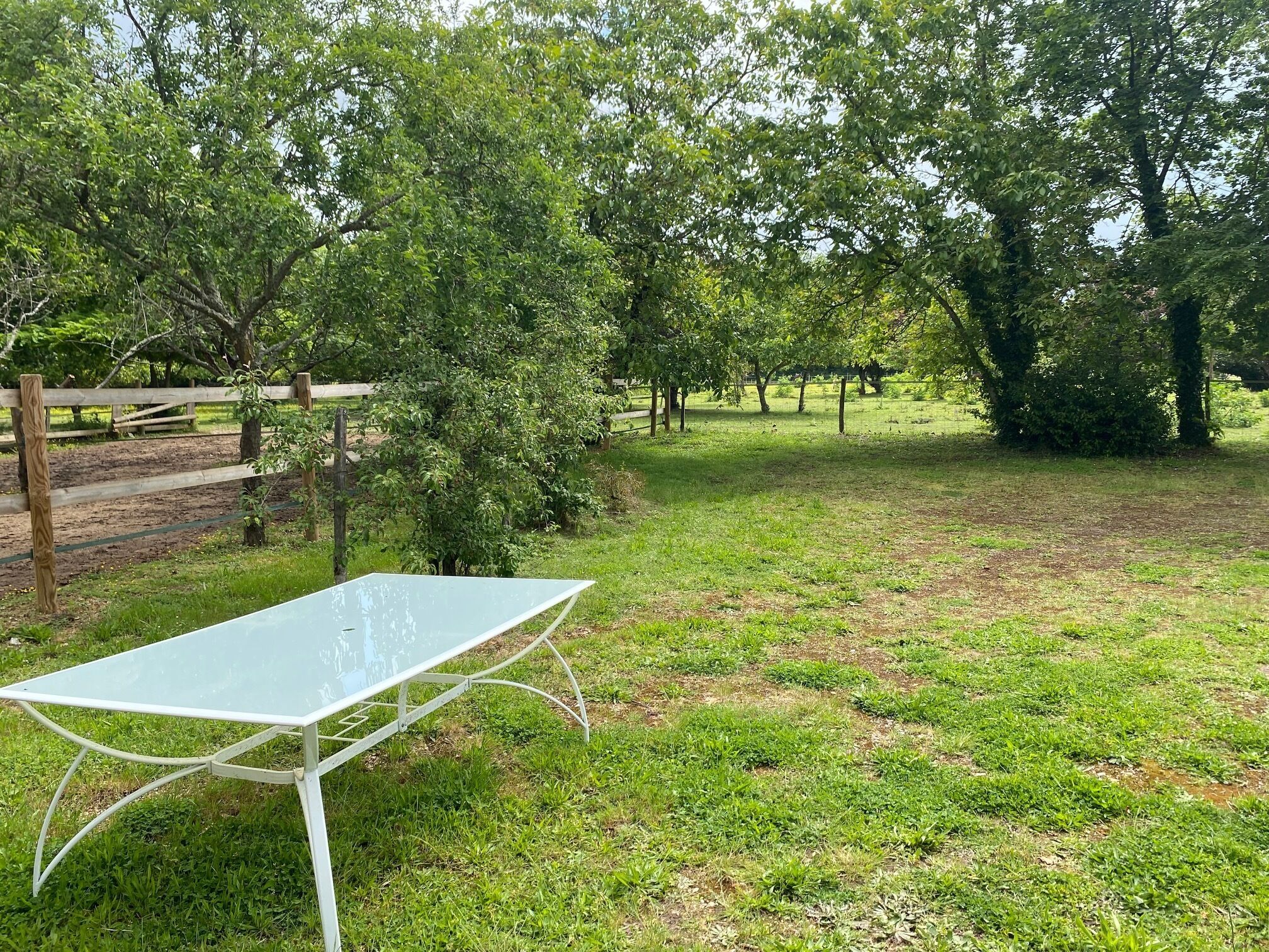 A grassy outdoor area with a metal table and a wooden fence.