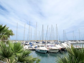 Ein Yachthafen mit mehreren Segelbooten, die vertäut sind.