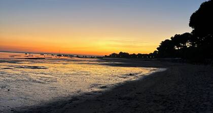Villa seaside Andernos ! 100m from the pool. Ideal for families, quiet.