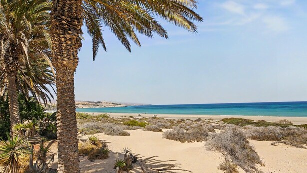 Strand