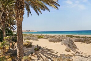 A beach with palm trees, sandy dunes, and a clear view of the ocean.