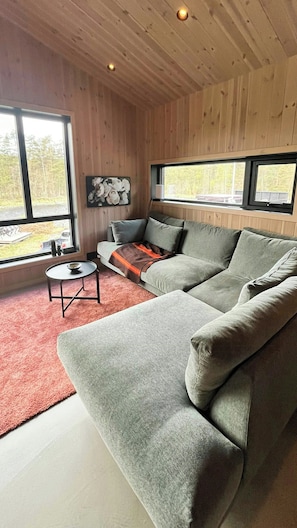 Televisor 