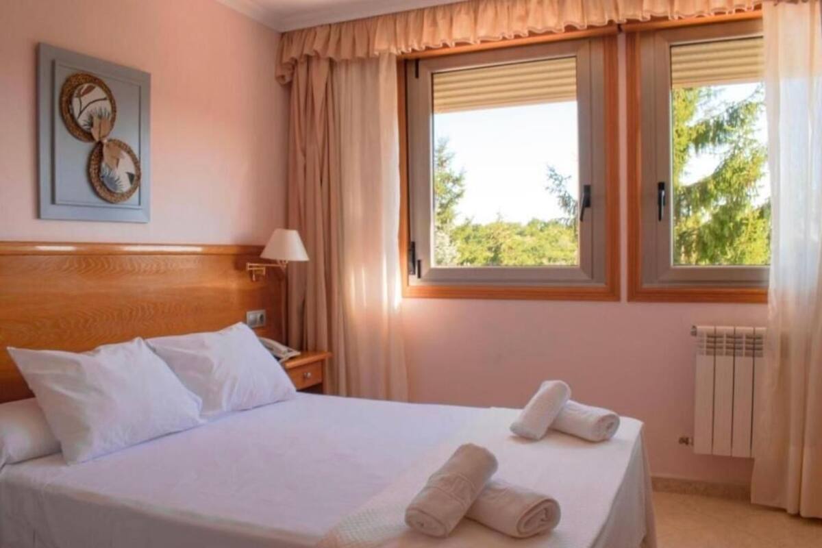 A hotel room with a bed, two windows, a radiator, and a wall-mounted picture.