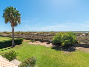 A landscaped garden with a palm tree, a stone wall, and a view of the beach.