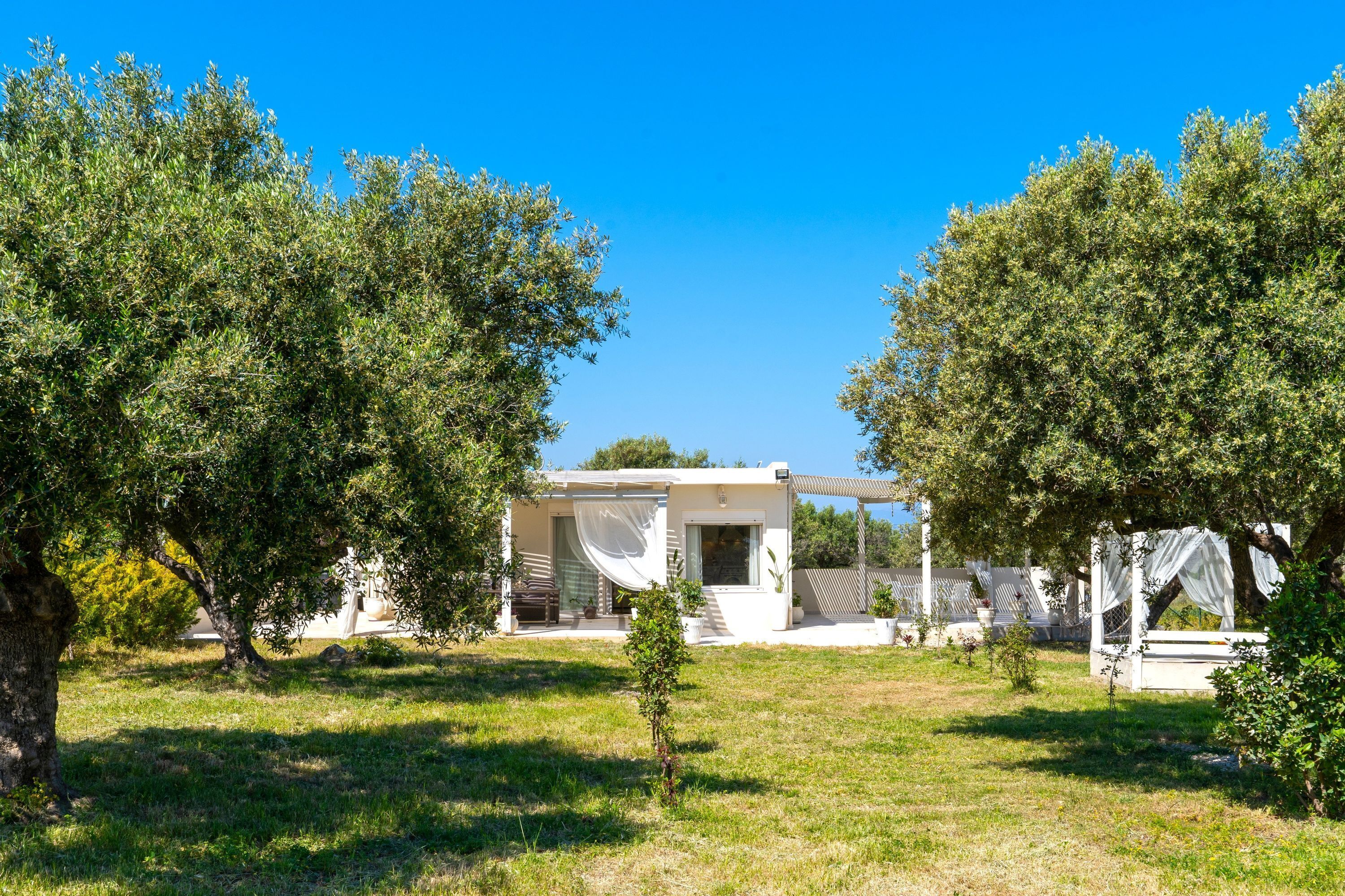 A modern house with a patio, surrounded by trees.