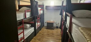 Standard Shared Dormitory, Patio, City View | Iron/ironing board, free WiFi - Majka Guest House (Kotor)