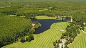 Golf - Watersound Dream | 5bd + Moke + Community Pool (Inlet Beach)