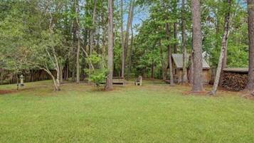 A forested area with a small cabin and a bench.