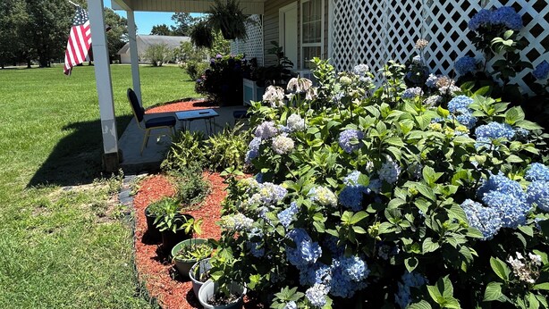 A house with a covered porch, a white fence, and a garden with hydrangeas.