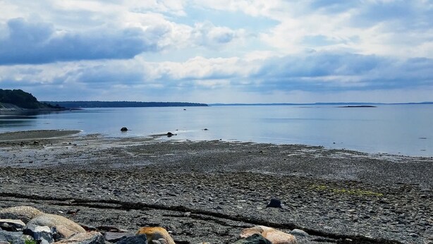 A rocky shoreline with calm water and distant land.