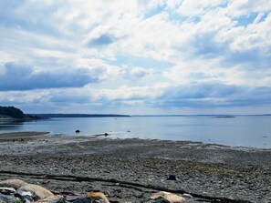 Eine felsige Küstenlinie mit ruhigem Wasser und weiter Landzunge im Hintergrund.