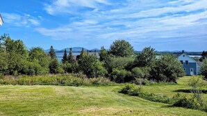 A grassy field with trees and a house in the background.