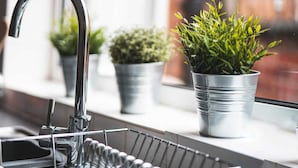 Eine Küche mit einer Spüle aus Edelstahl, einem Wasserhahn und Blumentöpfen auf der Fensterbank.