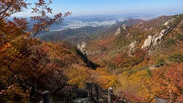 Sendero de montaña con una escalera de madera y vistas de un valle con follaje otoñal.