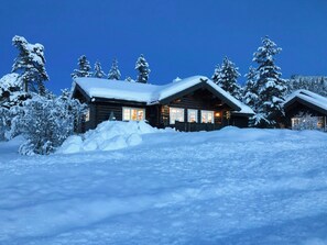 Exterior - Log cabin with turf roof near Rauland (Rauland)
