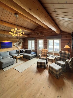 TV, fireplace - Log cabin with turf roof near Rauland (Rauland)