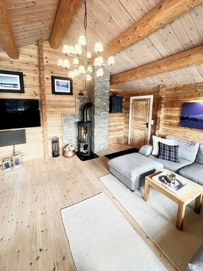 TV, fireplace - Log cabin with turf roof near Rauland (Rauland)