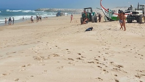 Ein sandiger Strand mit Fußabdrücken, einem grünen Traktor und einem Boot im Hintergrund.