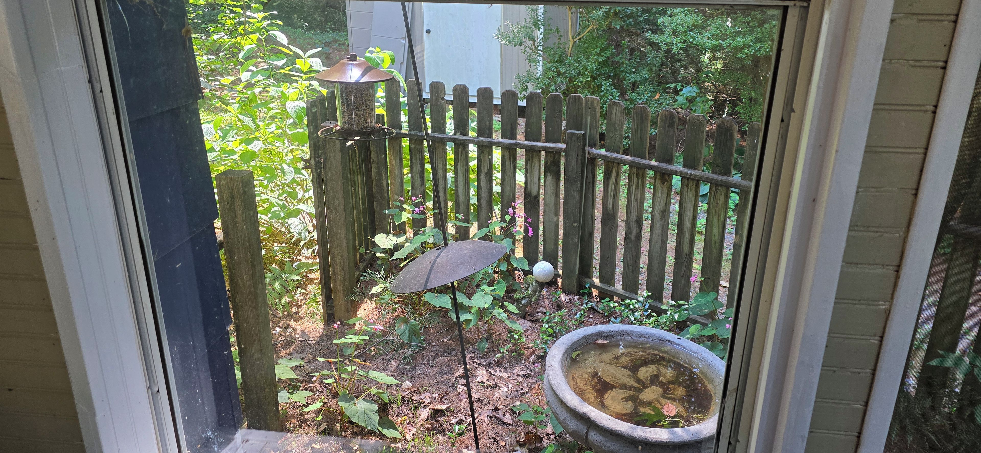 Ein Holzzaun, ein Vogelhaus und ein Vogelbad in einem Garten.