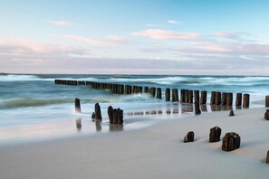 Een strand met houten palen en drijfhout langs de kust.