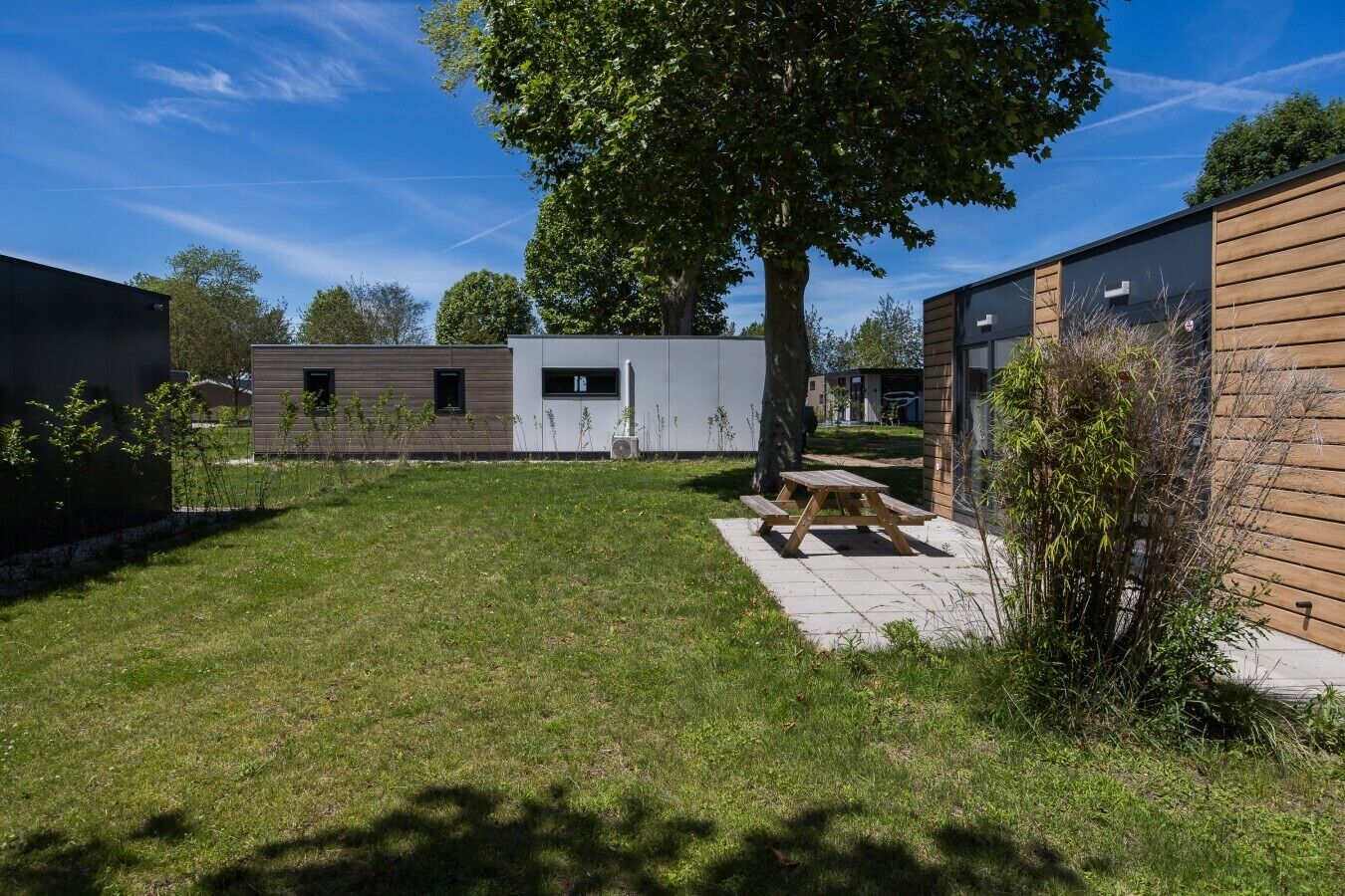 Ein moderner Außenbereich mit Picknicktisch, Baum und einem Gebäude mit Fenster und Tür.