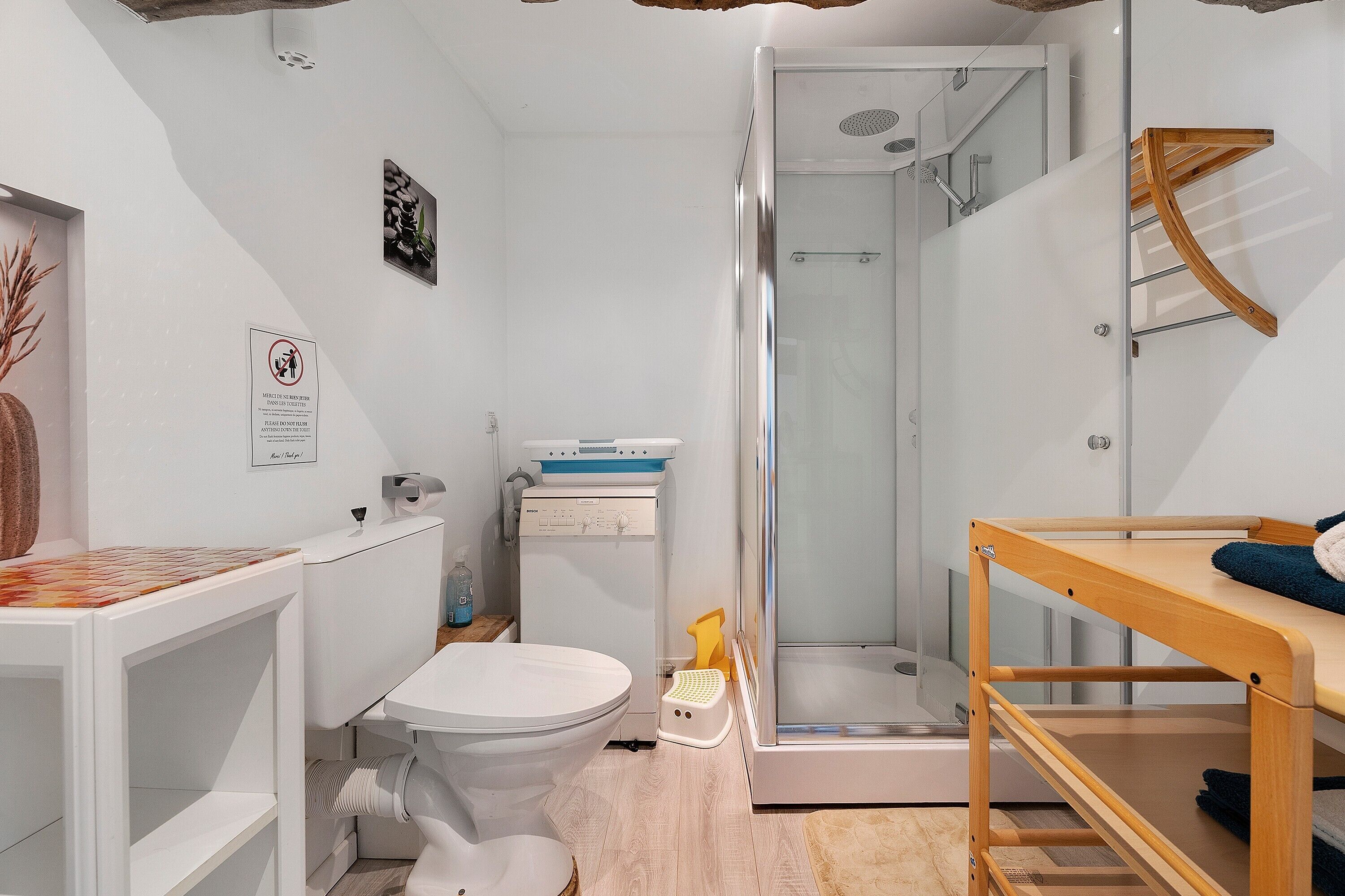 Shower, hair dryer, towels