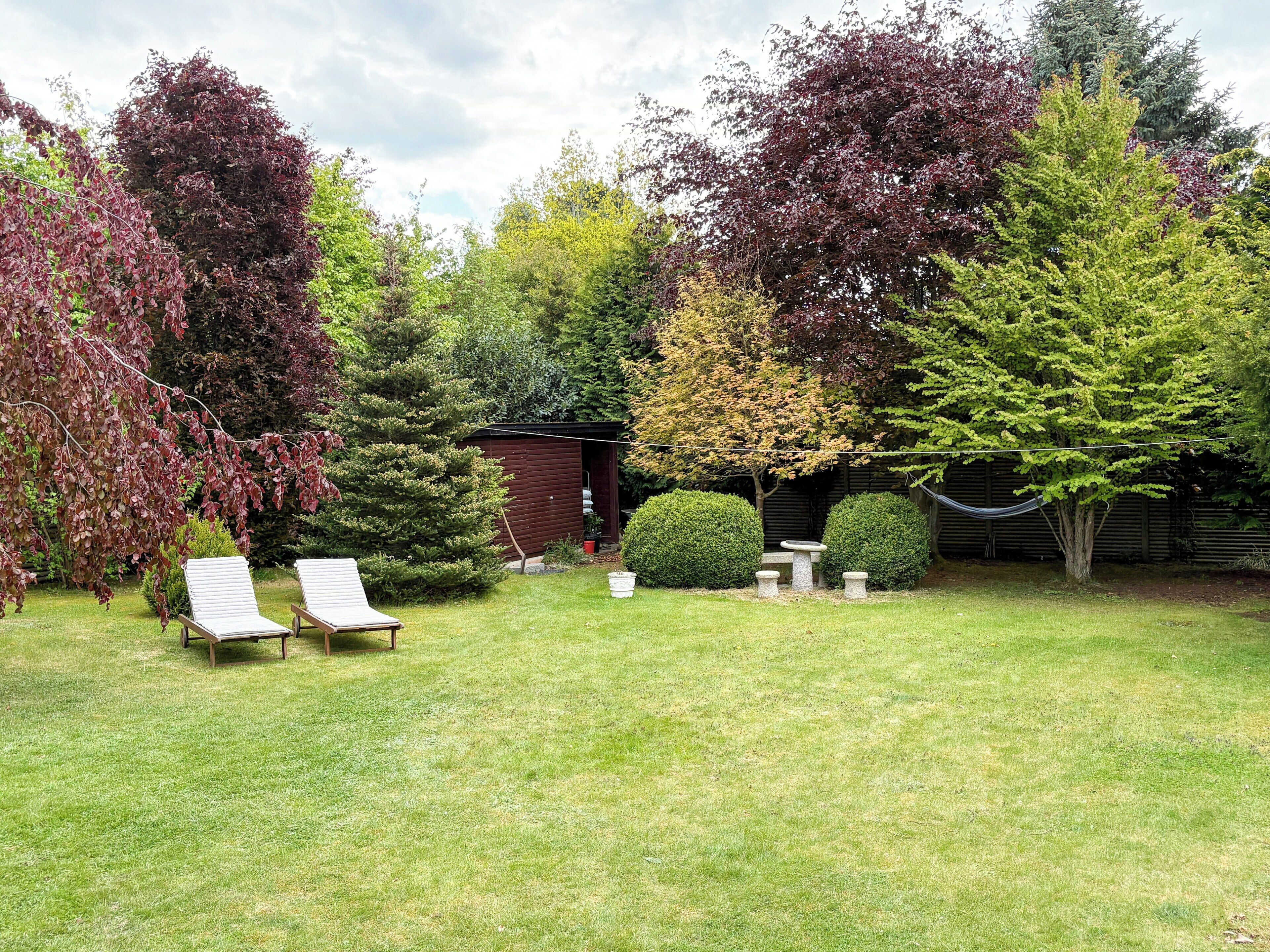 A garden with two lounge chairs, a small shed, and various trees.