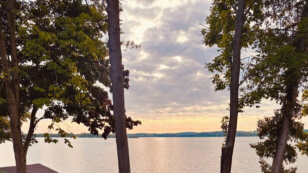 An outdoor seating area with Adirondack chairs and a fire pit, overlooking a body of water. - Away Cabins (Roseneath)