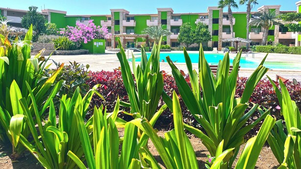 A hotel with a swimming pool, green and pink buildings, and tropical plants. - P22B Cozy & Bright, Steps from the Sea (Santa Maria)