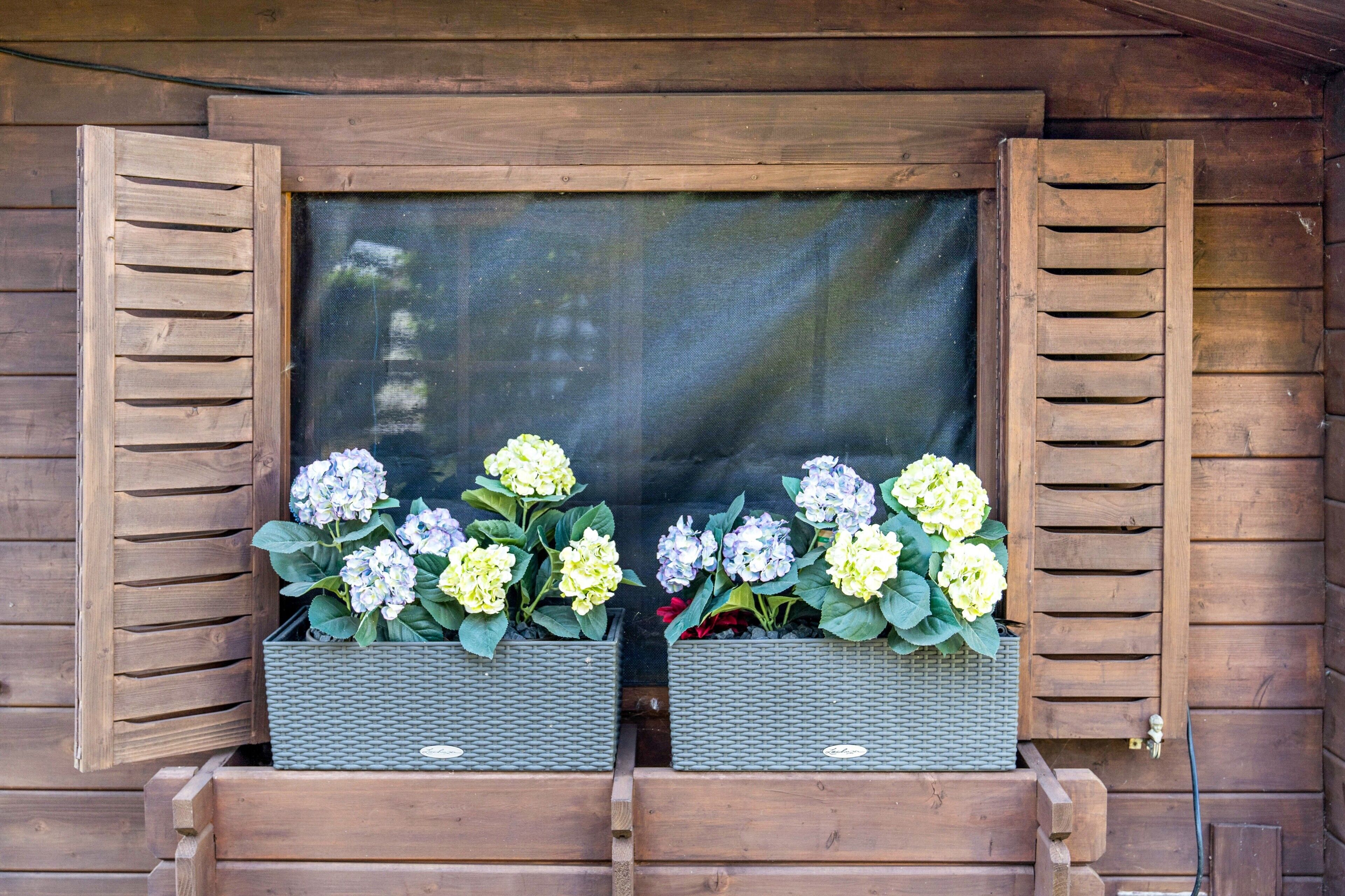 Una ventana con contraventanas de madera y dos cestas de mimbre con flores de hortensia.