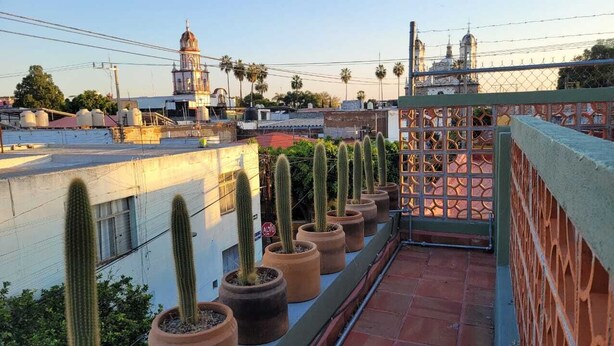 A rooftop terrace with potted cacti, a metal fence, and a view of a church with domes. - Hotel La Casa de Mis Marias (Tlaquepaque)