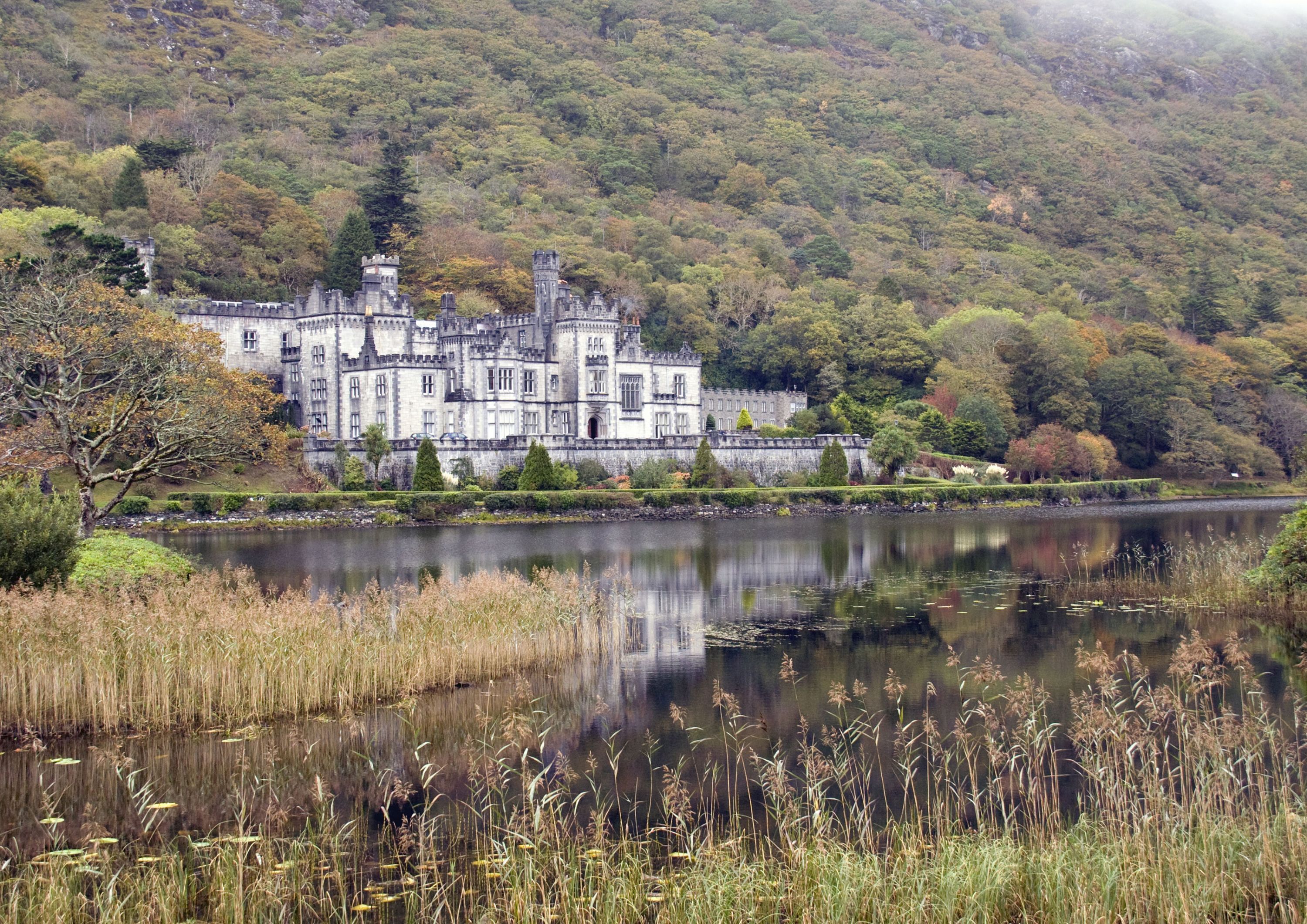 Een historisch kasteel met een uitgestrekte waterpartij ervoor, omringd door weelderige begroeiing.