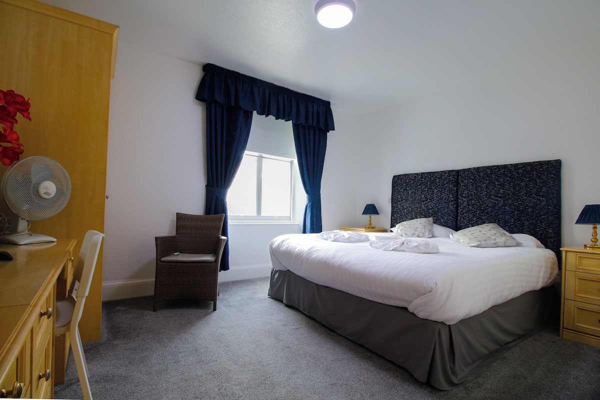 Classic Double Room, 1 King Bed, Non Smoking, Refrigerator | Iron/ironing board, free WiFi