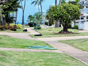 A well-maintained grassy area with a pathway, palm trees, and a view of the ocean.