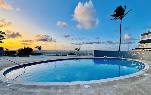 A swimming pool with a view of the ocean and a palm tree.