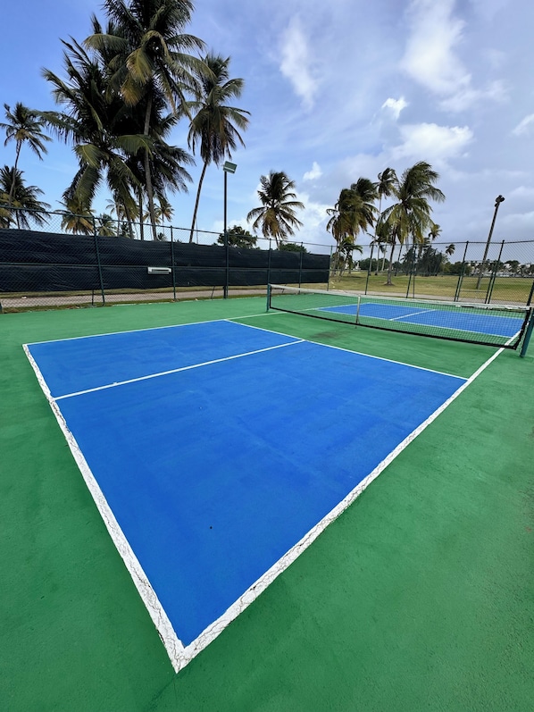 A tennis court with green and blue surfaces, surrounded by a fence and palm trees.