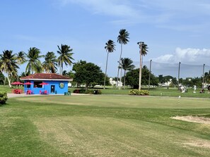 A golf course with a blue building, palm trees, and a clear sky.