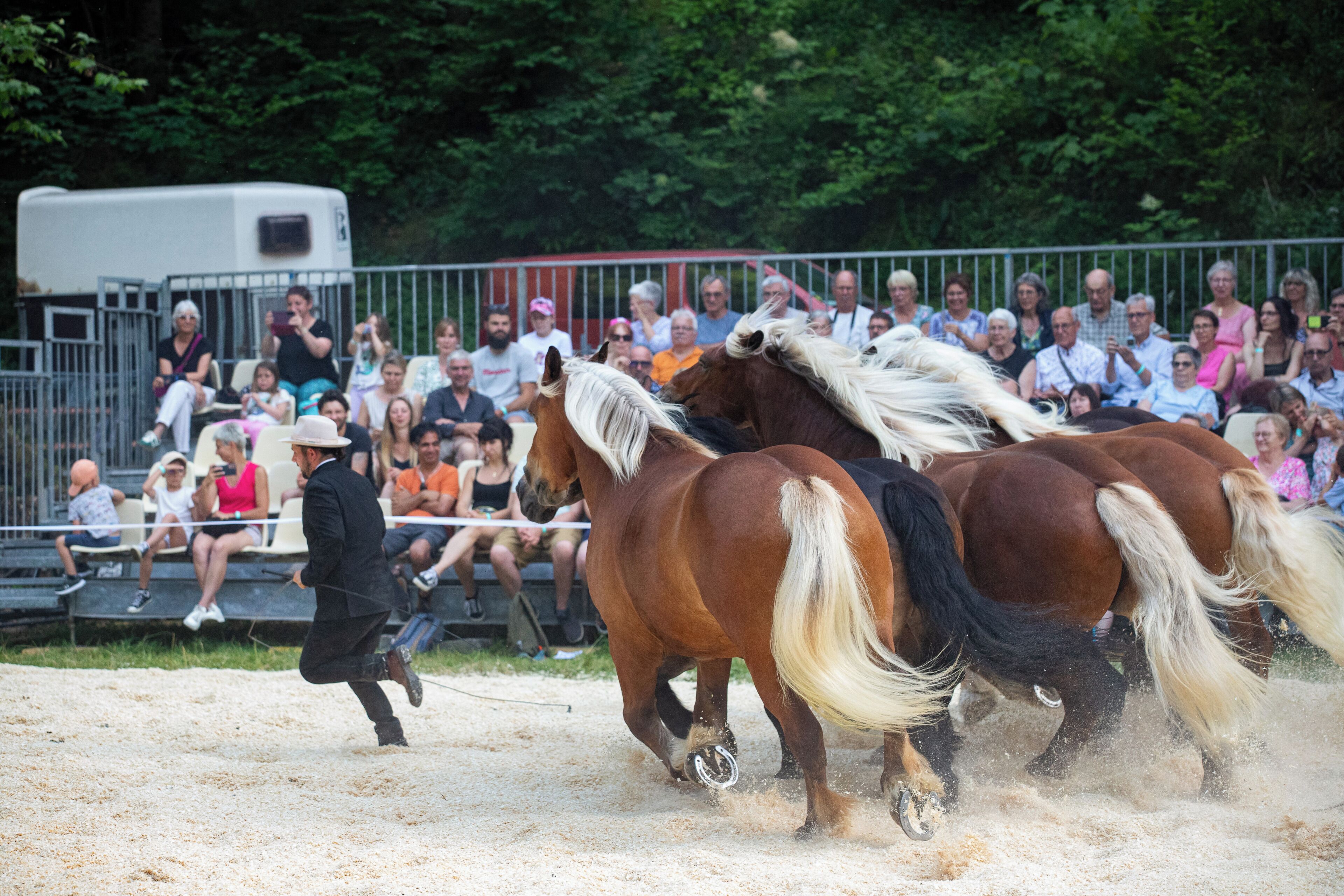 A horse race with spectators.