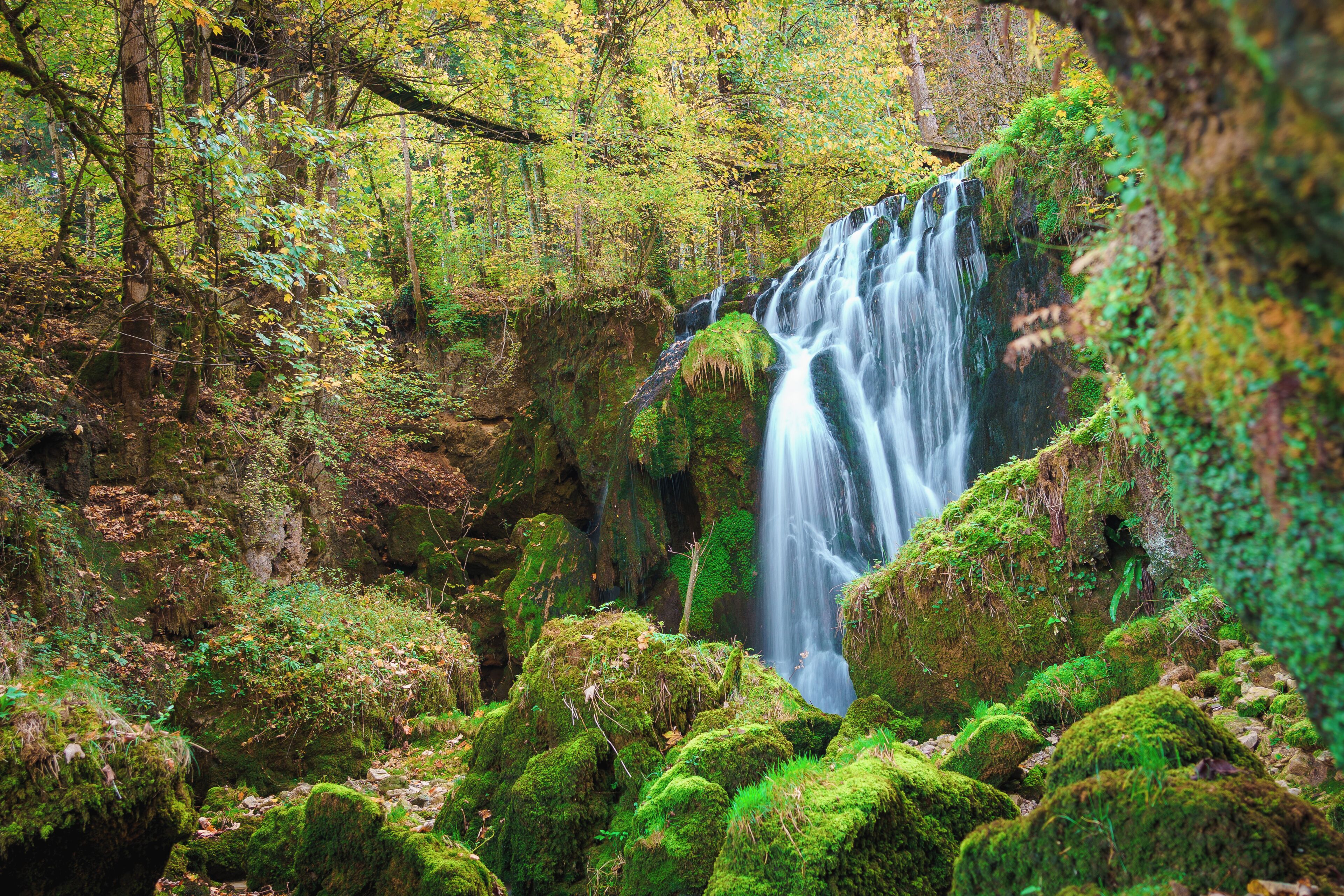 Una cascada rodeada de rocas cubiertas de musgo y un bosque frondoso.
