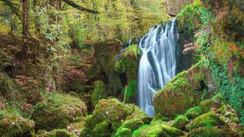 Una cascada rodeada de rocas cubiertas de musgo y un bosque frondoso.