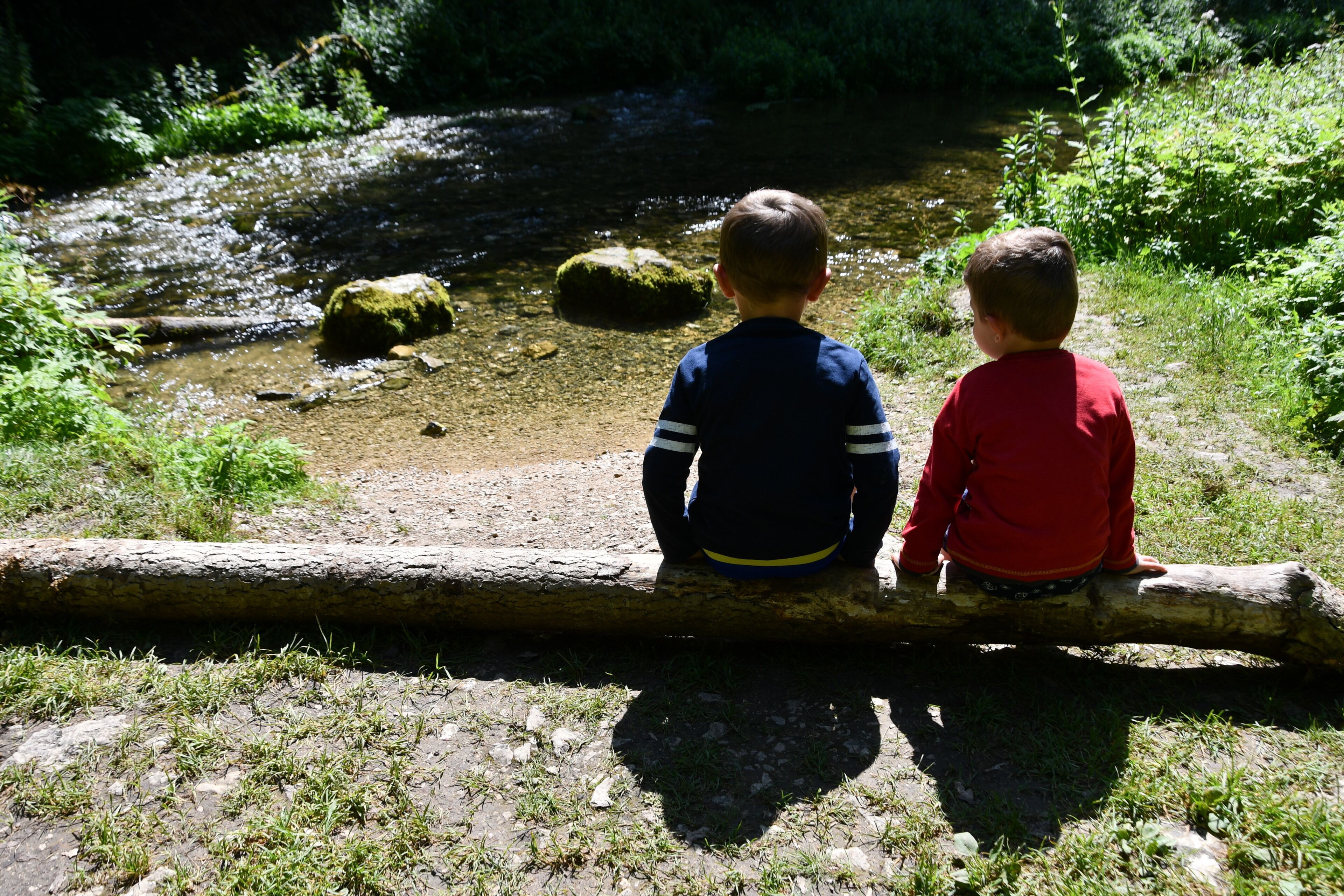 Two children sitting on a log by a stream.