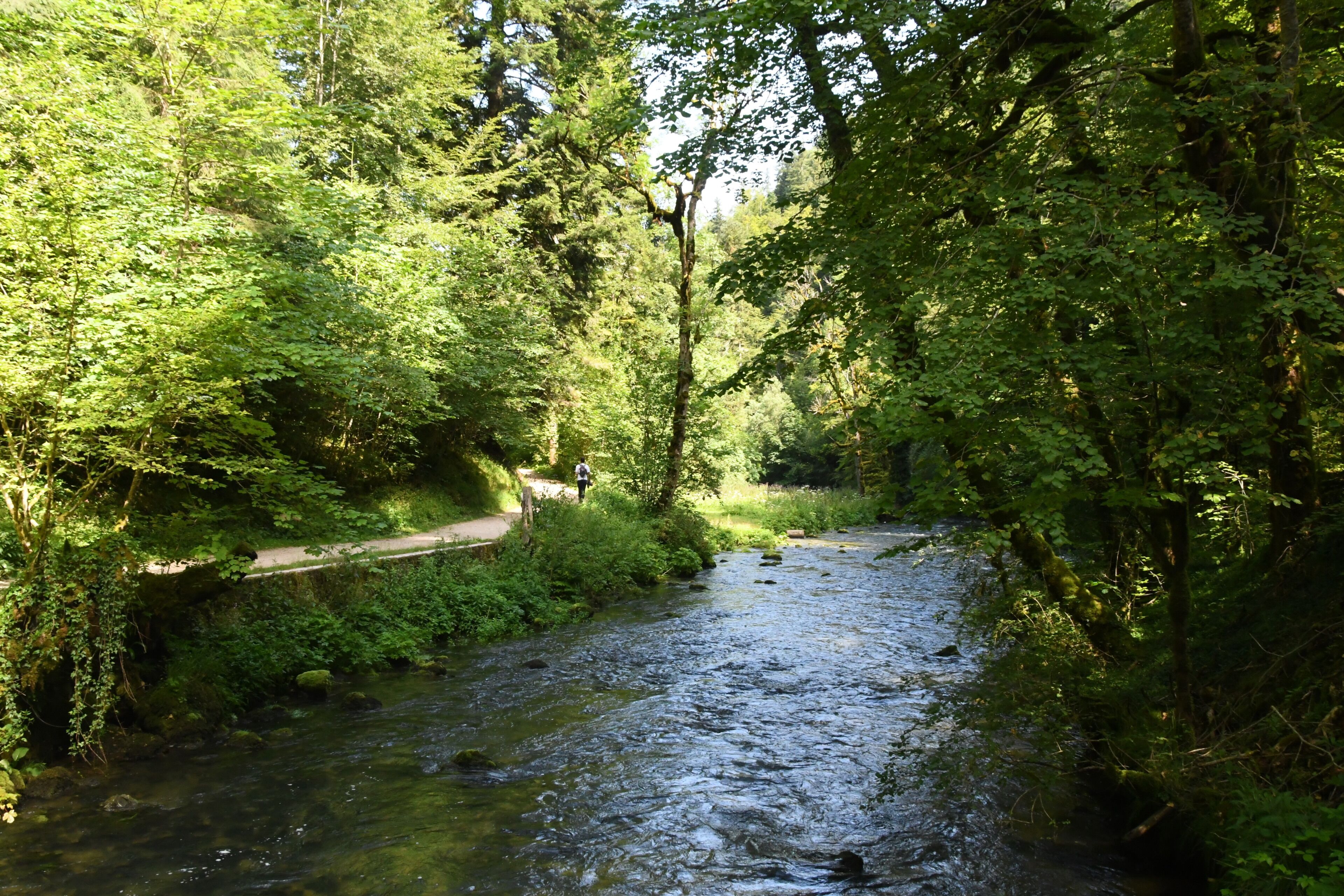 A river flowing through a forested area with a path alongside.